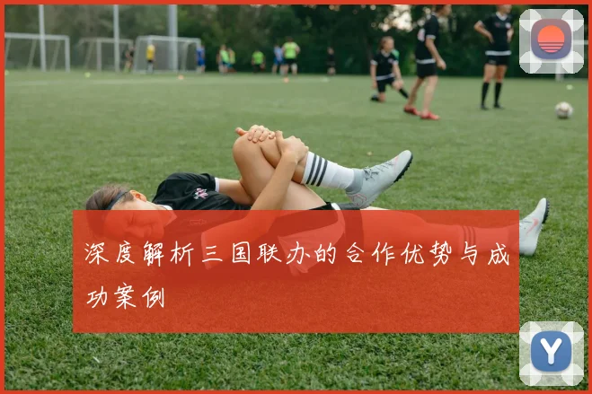 深度解析三国联办的合作优势与成功案例